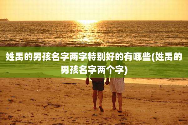 姓禹的男孩名字两字特别好的有哪些(姓禹的男孩名字两个字)