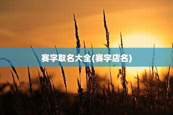 赛字取名大全(赛字店名)