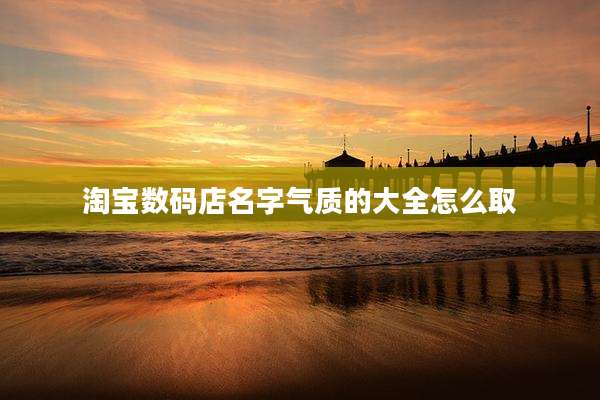 淘宝数码店名字气质的大全怎么取