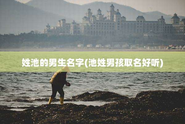 姓池的男生名字(池姓男孩取名好听)