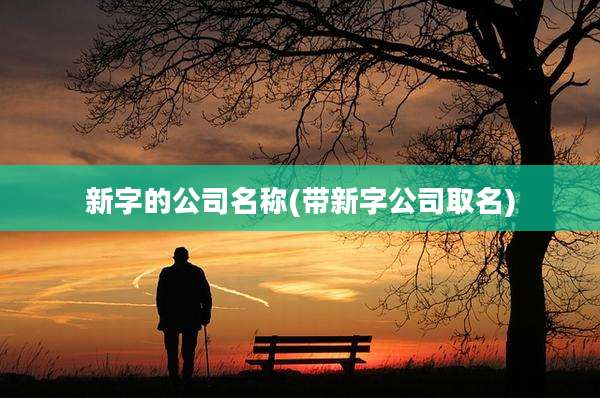 新字的公司名称(带新字公司取名)