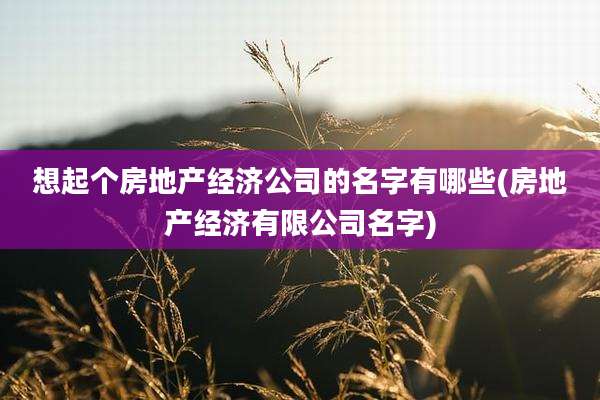 想起个房地产经济公司的名字有哪些(房地产经济有限公司名字)