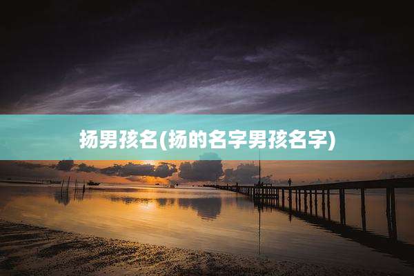 扬男孩名(扬的名字男孩名字)