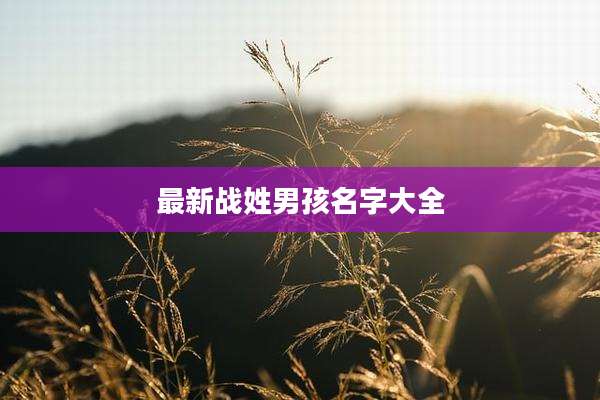 最新战姓男孩名字大全