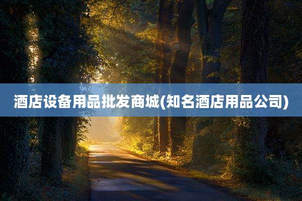 酒店设备用品批发商城(知名酒店用品公司)