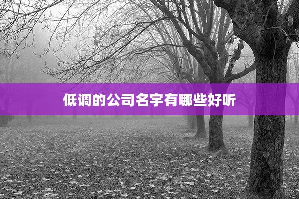 低调的公司名字有哪些好听