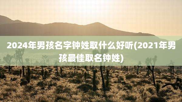 2024年男孩名字钟姓取什么好听(2021年男孩最佳取名钟姓)