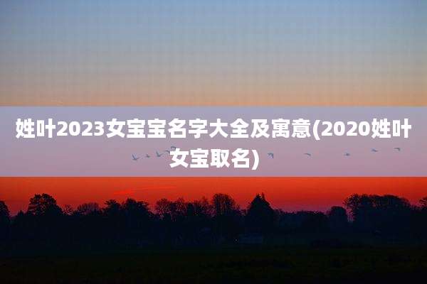 姓叶2023女宝宝名字大全及寓意(2020姓叶女宝取名)