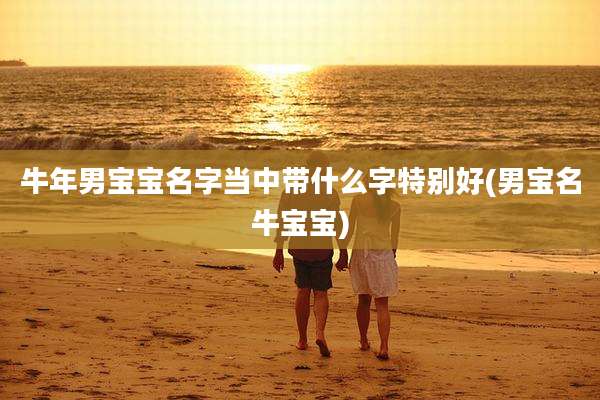 牛年男宝宝名字当中带什么字特别好(男宝名牛宝宝)