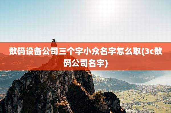 数码设备公司三个字小众名字怎么取(3c数码公司名字)