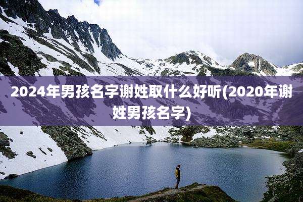 2024年男孩名字谢姓取什么好听(2020年谢姓男孩名字)