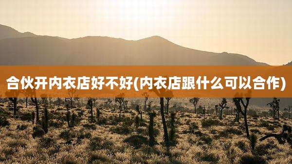 合伙开内衣店好不好(内衣店跟什么可以合作)