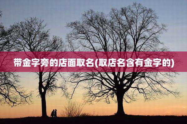 带金字旁的店面取名(取店名含有金字的)