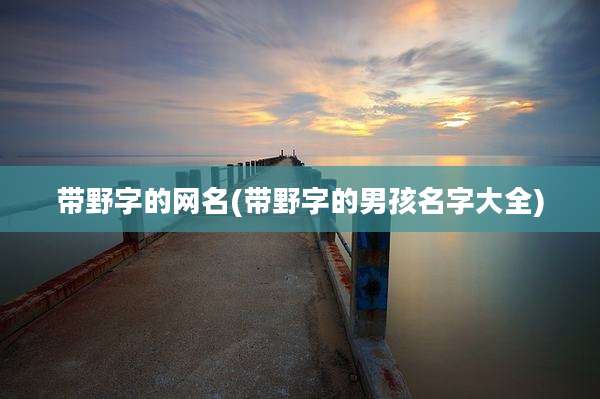 带野字的网名(带野字的男孩名字大全)