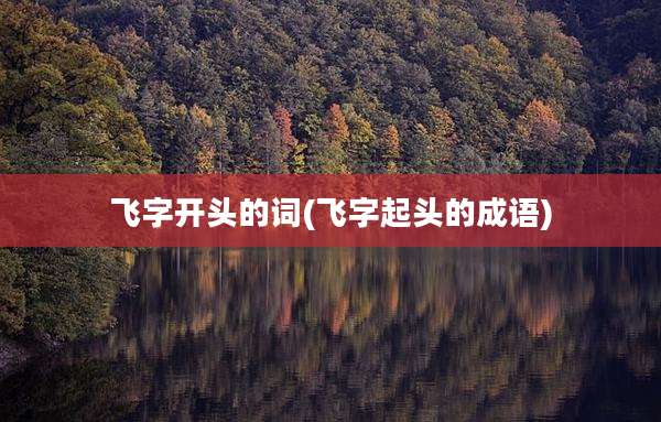 飞字开头的词(飞字起头的成语)