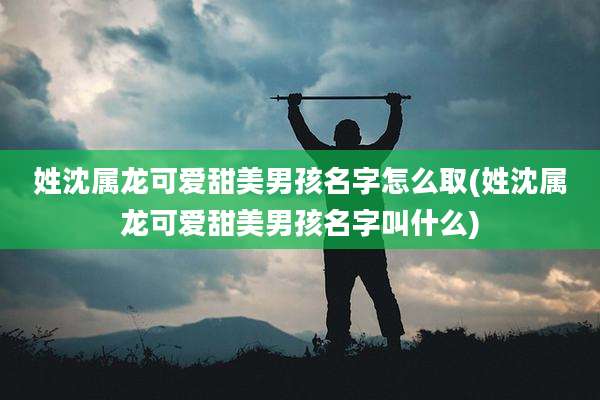 姓沈属龙可爱甜美男孩名字怎么取(姓沈属龙可爱甜美男孩名字叫什么)
