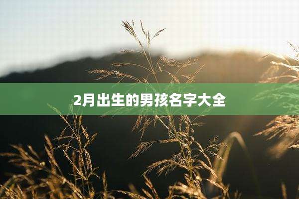 2月出生的男孩名字大全