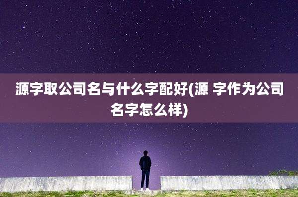 源字取公司名与什么字配好(源 字作为公司名字怎么样)