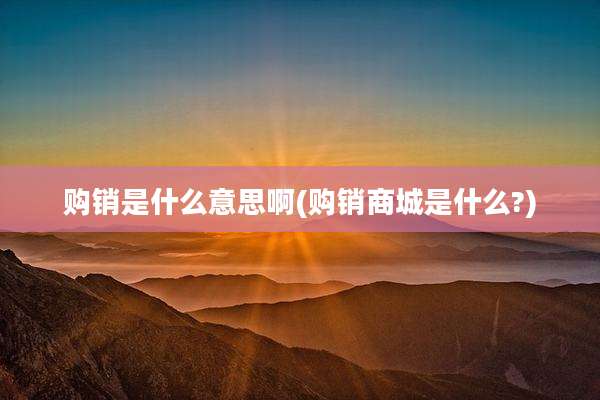 购销是什么意思啊(购销商城是什么?)