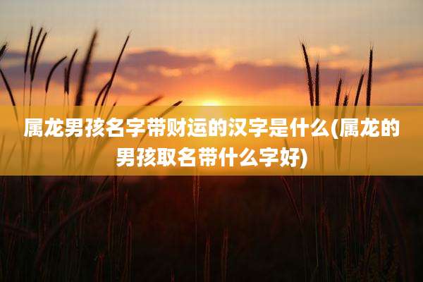 属龙男孩名字带财运的汉字是什么(属龙的男孩取名带什么字好)