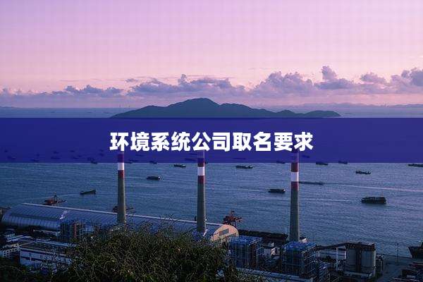环境系统公司取名要求
