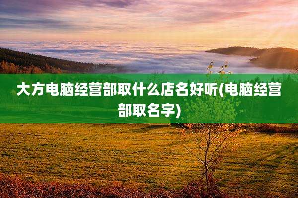 大方电脑经营部取什么店名好听(电脑经营部取名字)
