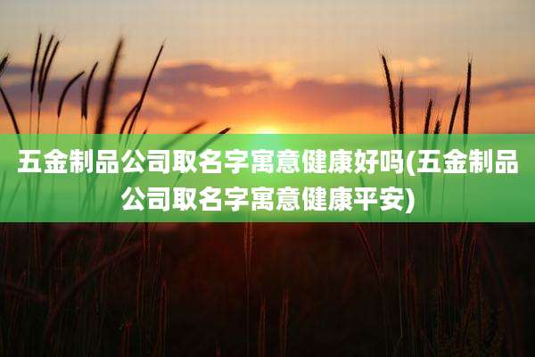 五金制品公司取名字寓意健康好吗(五金制品公司取名字寓意健康平安)