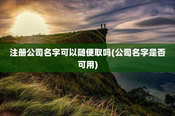 注册公司名字可以随便取吗(公司名字是否可用)