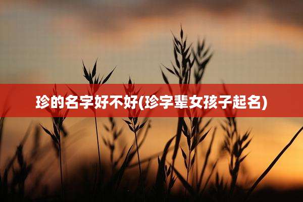 珍的名字好不好(珍字辈女孩子起名)