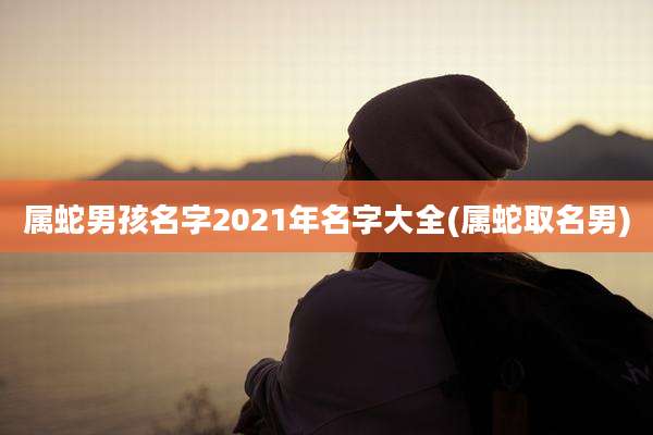 属蛇男孩名字2021年名字大全(属蛇取名男)