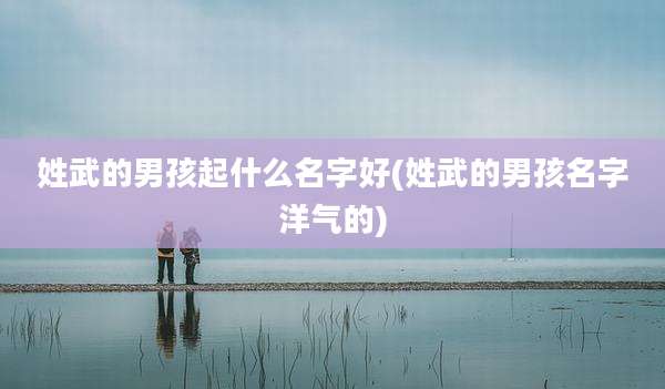 姓武的男孩起什么名字好(姓武的男孩名字洋气的)