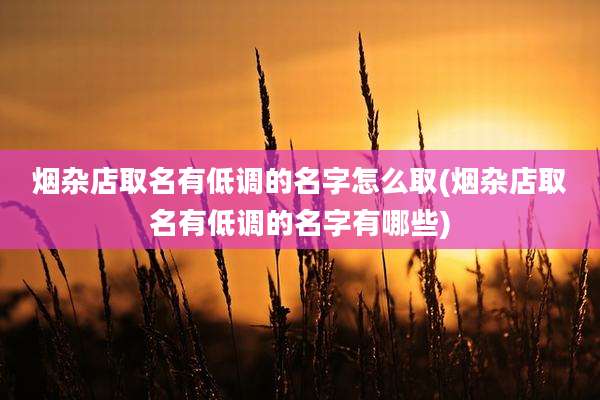 烟杂店取名有低调的名字怎么取(烟杂店取名有低调的名字有哪些)