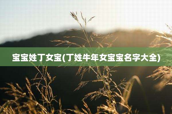 宝宝姓丁女宝(丁姓牛年女宝宝名字大全)