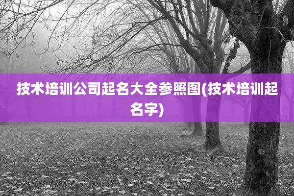 技术培训公司起名大全参照图(技术培训起名字)