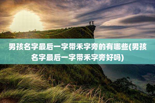 男孩名字最后一字带禾字旁的有哪些(男孩名字最后一字带禾字旁好吗)