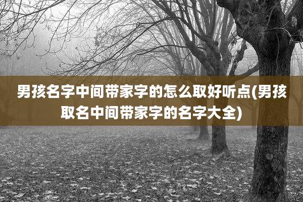 男孩名字中间带家字的怎么取好听点(男孩取名中间带家字的名字大全)
