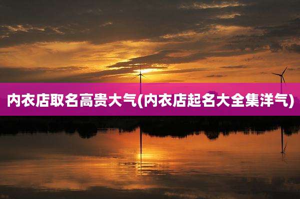 内衣店取名高贵大气(内衣店起名大全集洋气)