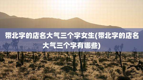 带北字的店名大气三个字女生(带北字的店名大气三个字有哪些)