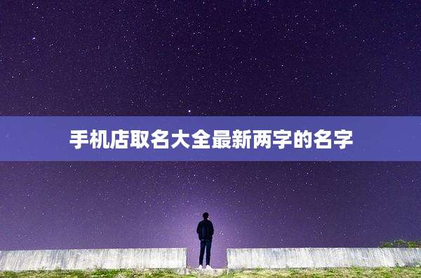手机店取名大全最新两字的名字