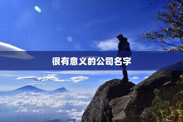 很有意义的公司名字