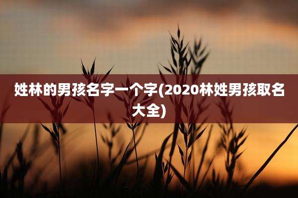 姓林的男孩名字一个字(2020林姓男孩取名大全)