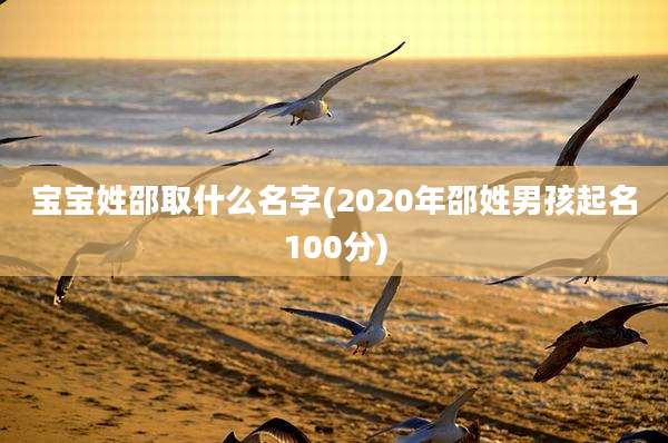 宝宝姓邵取什么名字(2020年邵姓男孩起名100分)