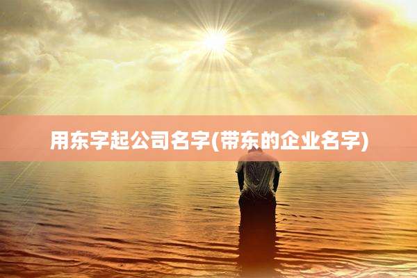 用东字起公司名字(带东的企业名字)