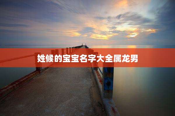 姓候的宝宝名字大全属龙男
