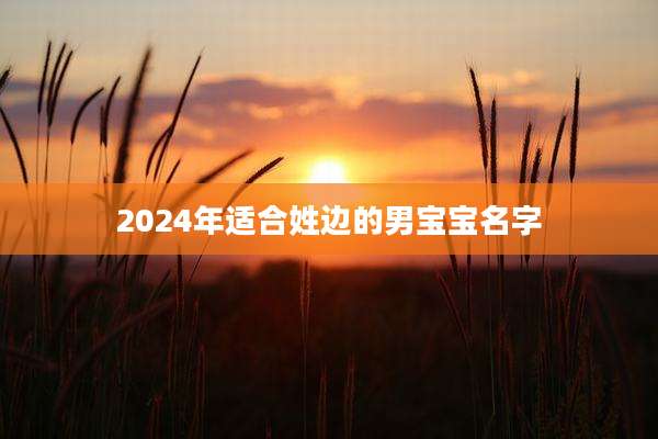 2024年适合姓边的男宝宝名字