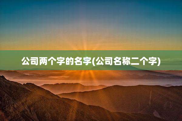 公司两个字的名字(公司名称二个字)