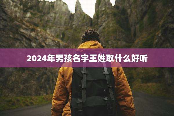 2024年男孩名字王姓取什么好听