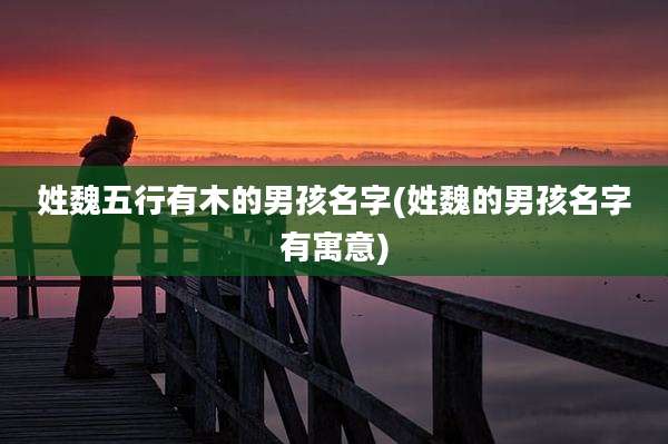 姓魏五行有木的男孩名字(姓魏的男孩名字有寓意)
