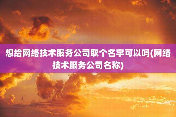 想给网络技术服务公司取个名字可以吗(网络技术服务公司名称)