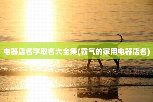 电器店名字取名大全集(霸气的家用电器店名)